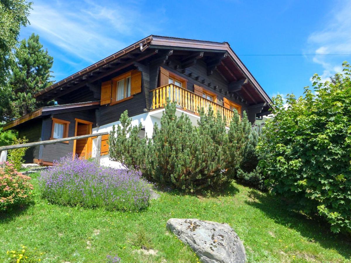 Chalet Biquinou By Interhome เวอร์บิเอร์ ภายนอก รูปภาพ